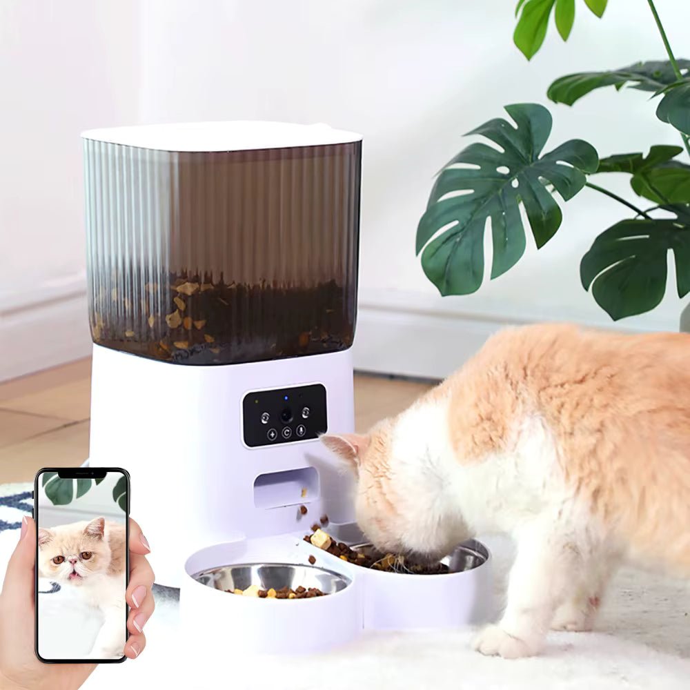 Bestsellers - King CAT